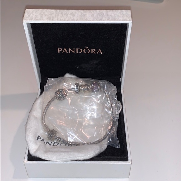 Pandora Bracelet with 4 charms